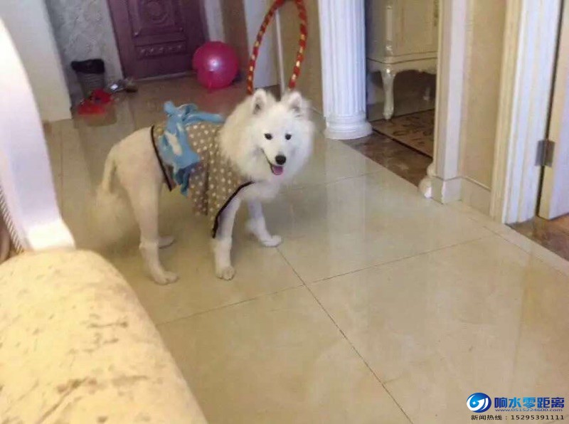 5647