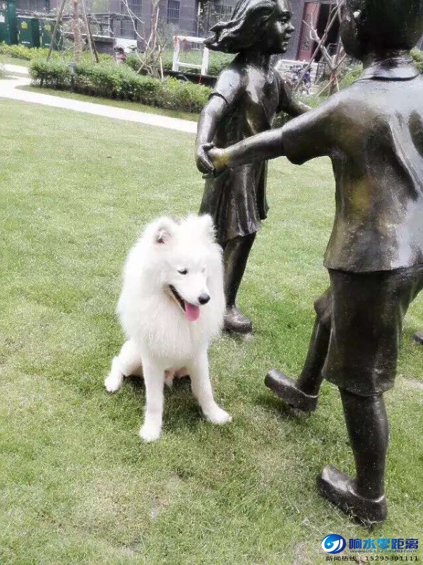 5650