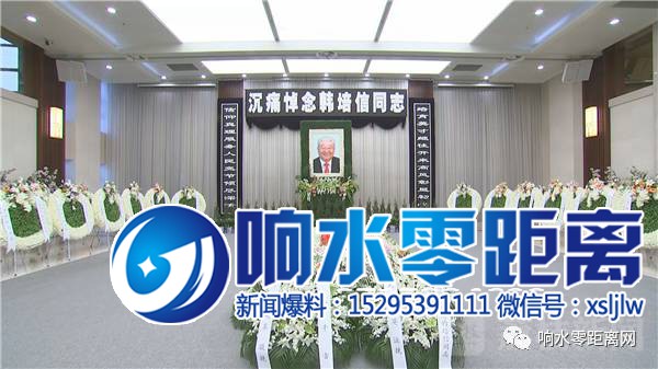 541f669b99d54fbef52397ad36a4be99.jpg