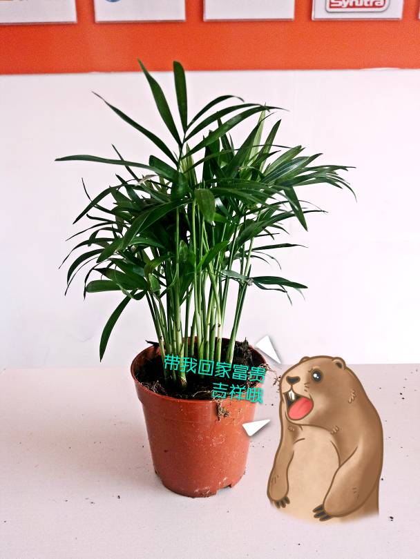 231004ohjelseelh9hxhse.jpg