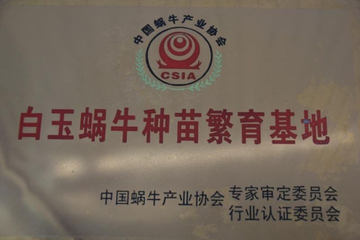 0dccb8837da92972661ff82c3ee74703.jpg