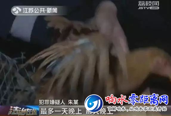 7b30446a1bd9b1b114d32d8a332a65de.jpg