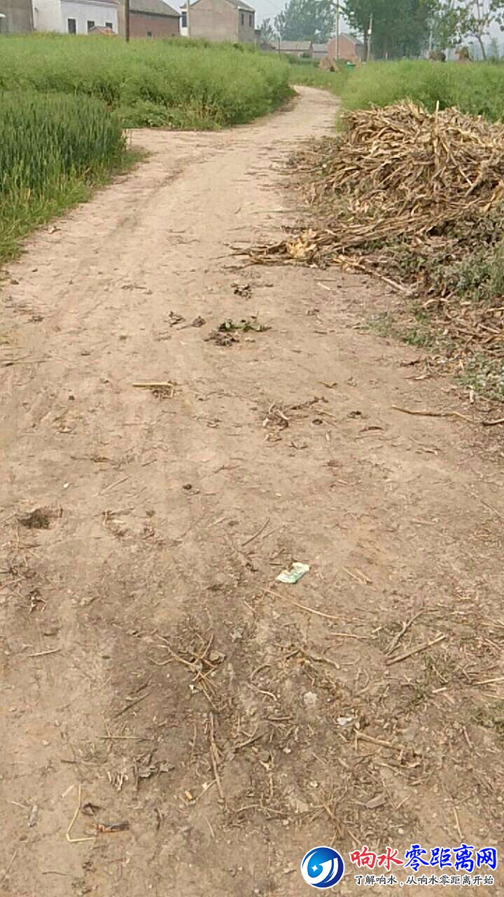 20180429_102299_1524966196158.jpg