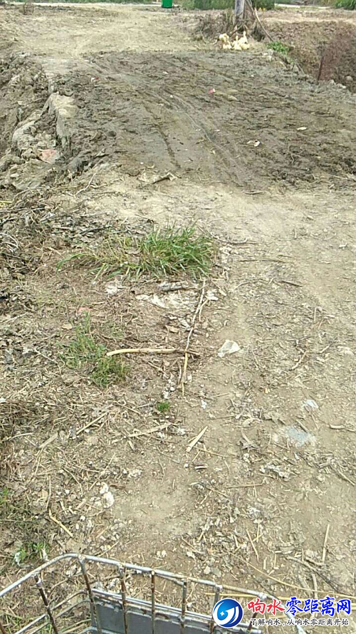 20180429_102299_1524966196332.jpg