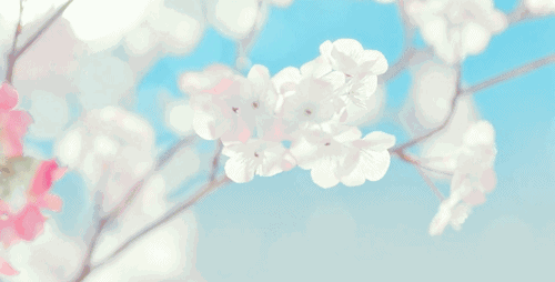 26127b1ecb8c8a1425a5926cb72d6ca1.gif