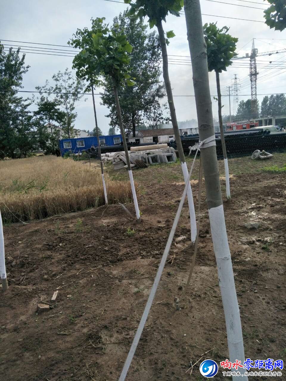 20180602_98998_1527929517885.jpg