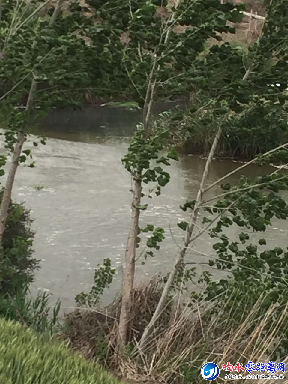 20180604103152152810327955257.jpg