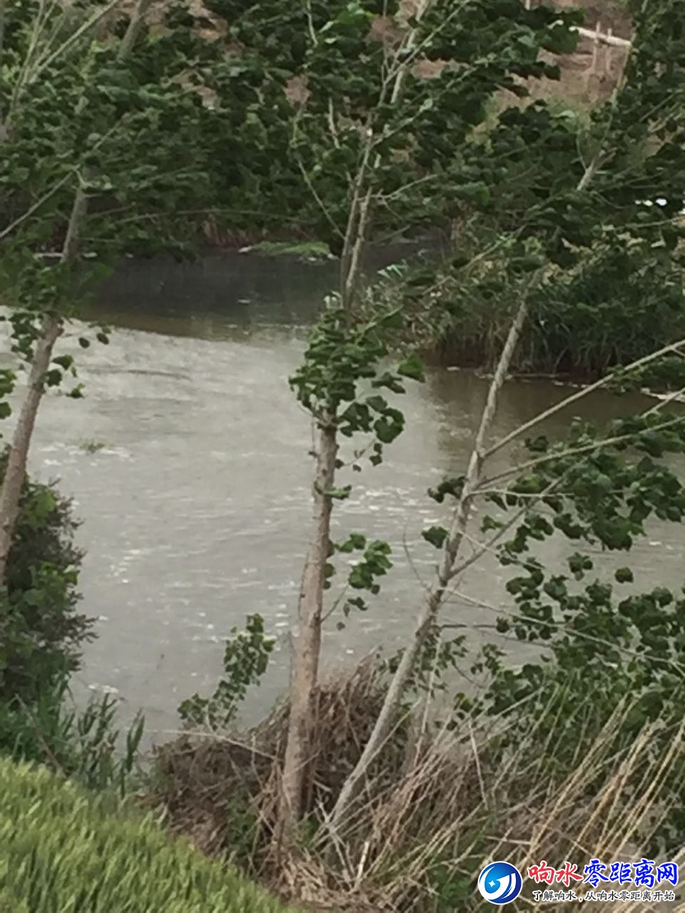 201806051031521528171078616229.jpg