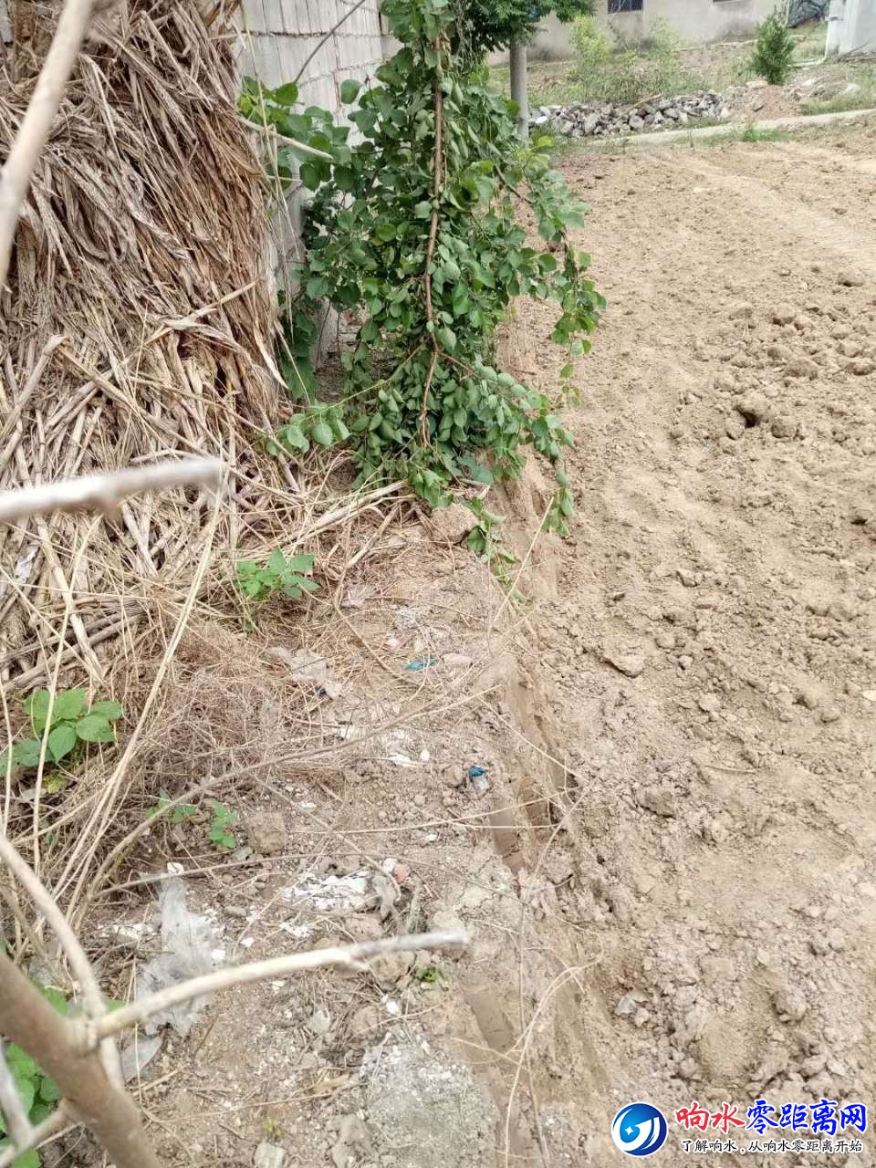 20180625_100653_1529888379006.jpg