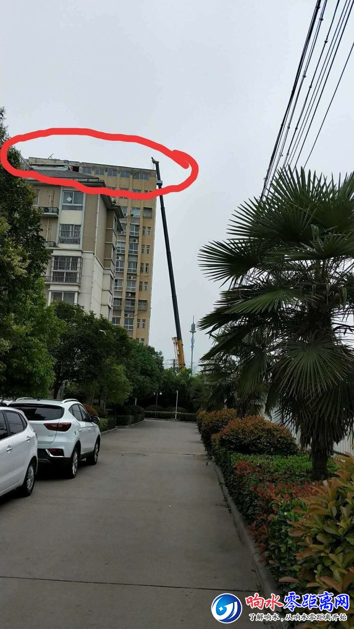 20180626990031529986746151451.jpg
