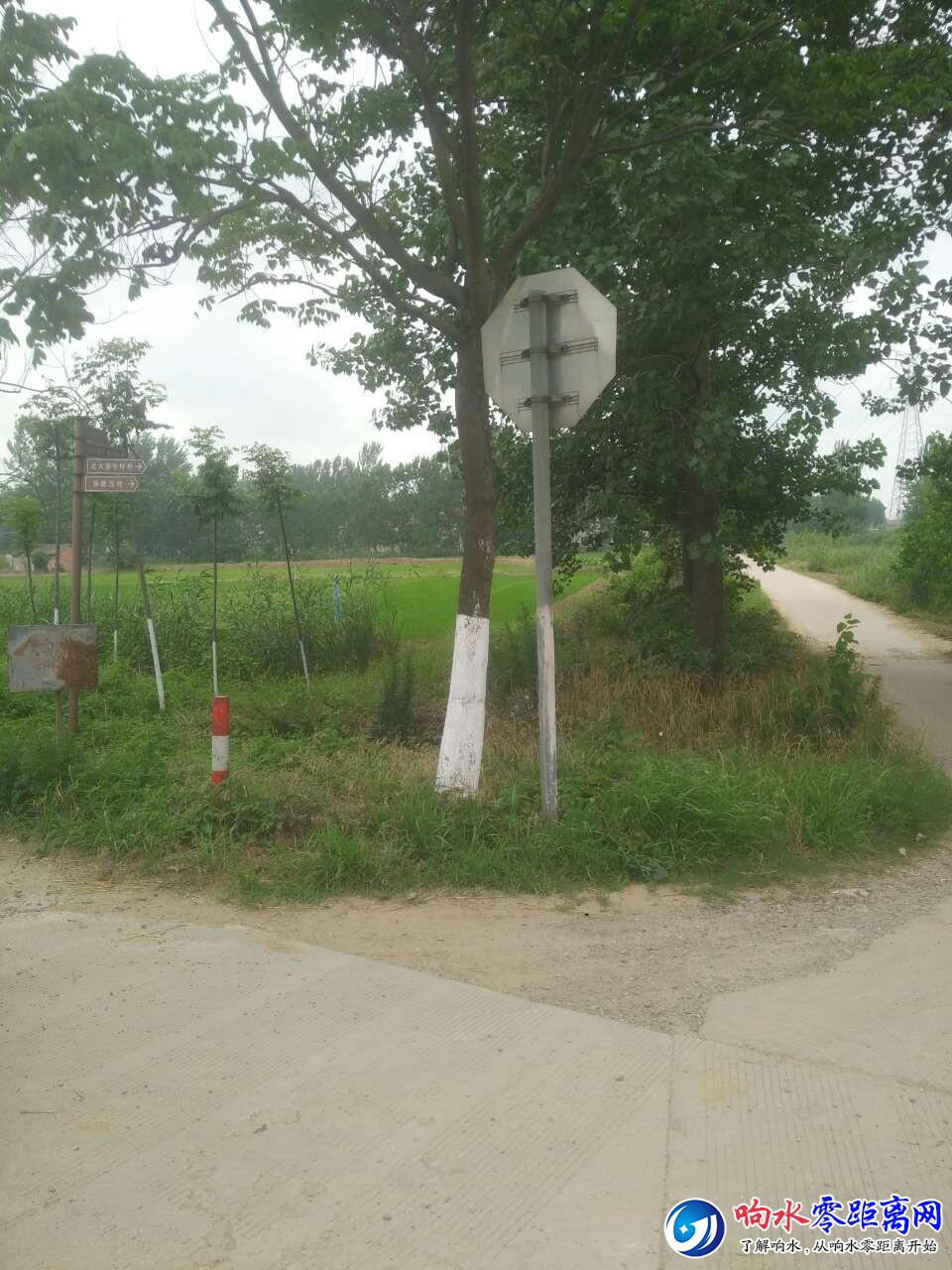 20180704_100335_1530681070451.jpg