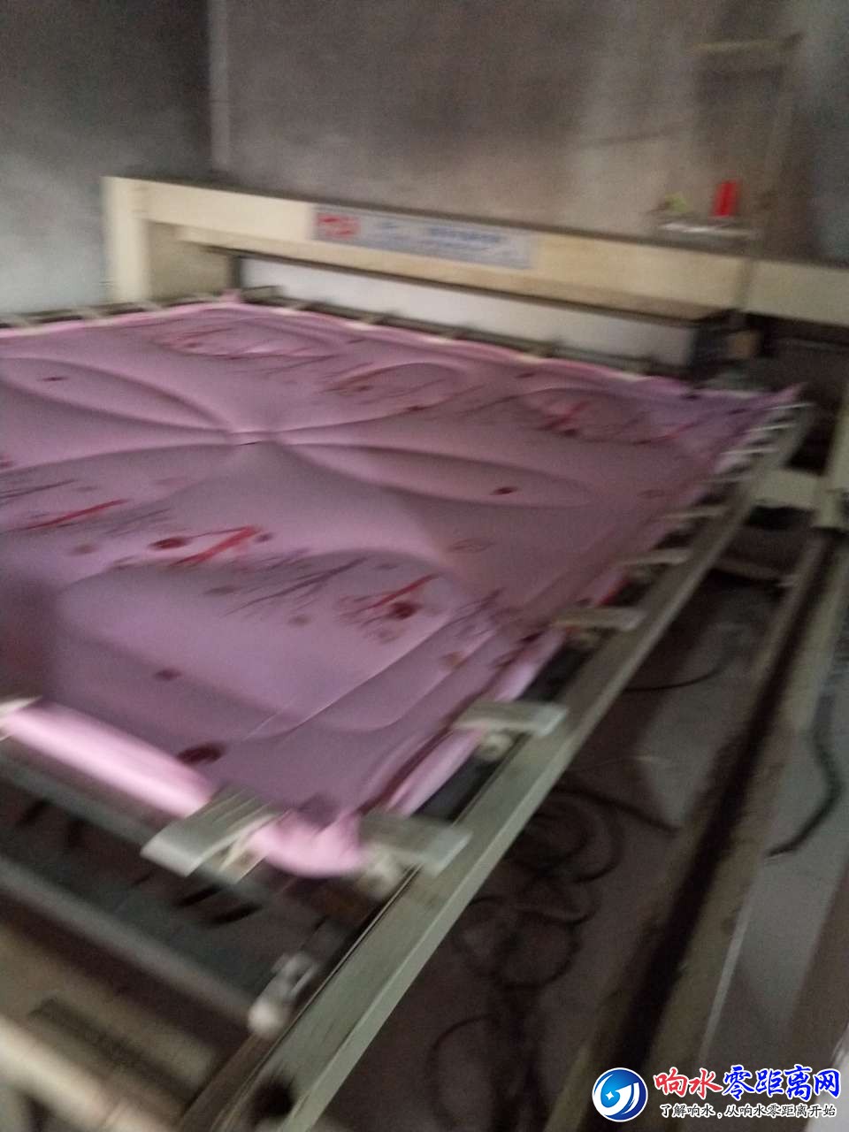 20180708_104411_1531009417983.jpg