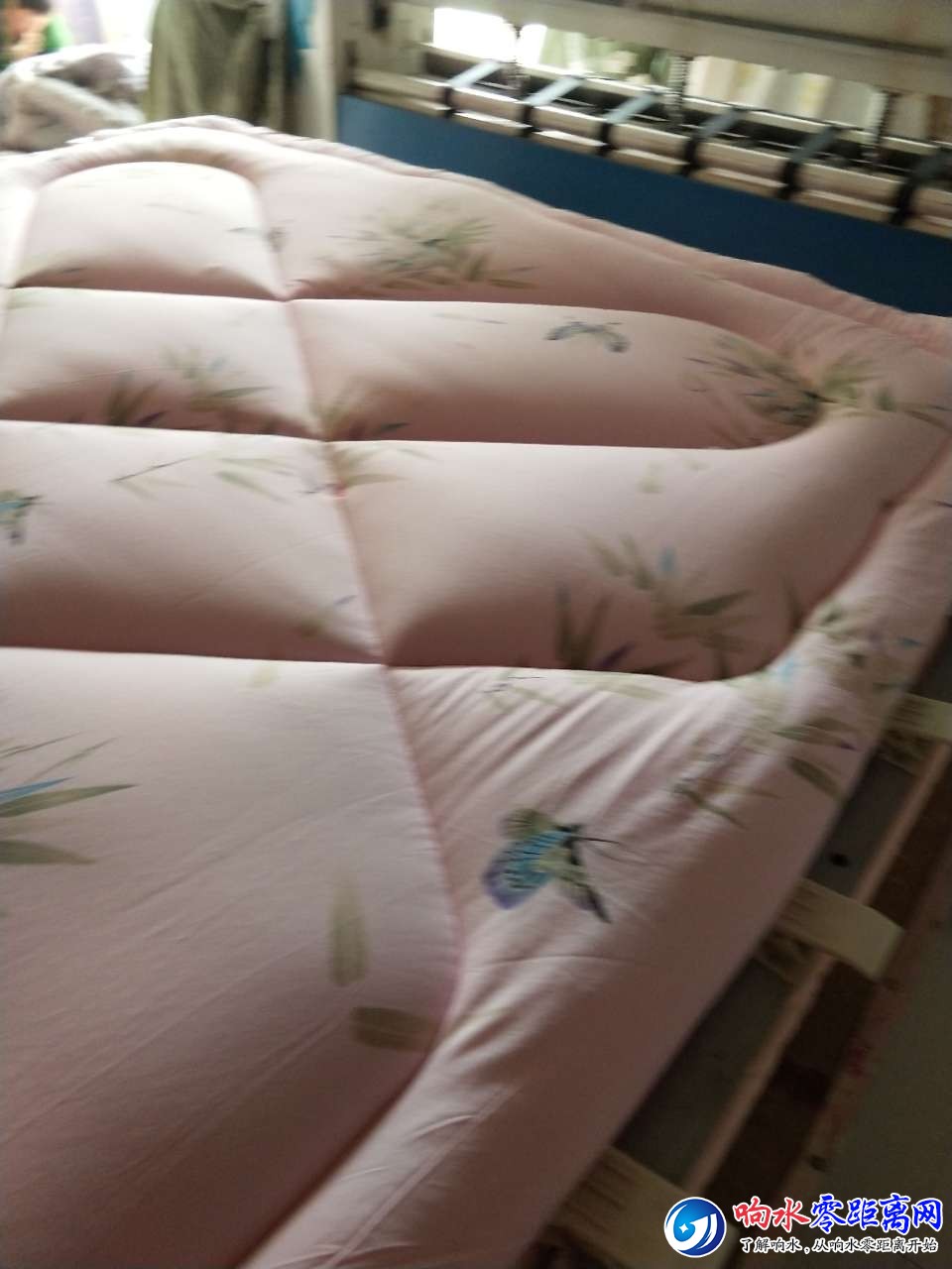 20180708_104411_1531009419155.jpg