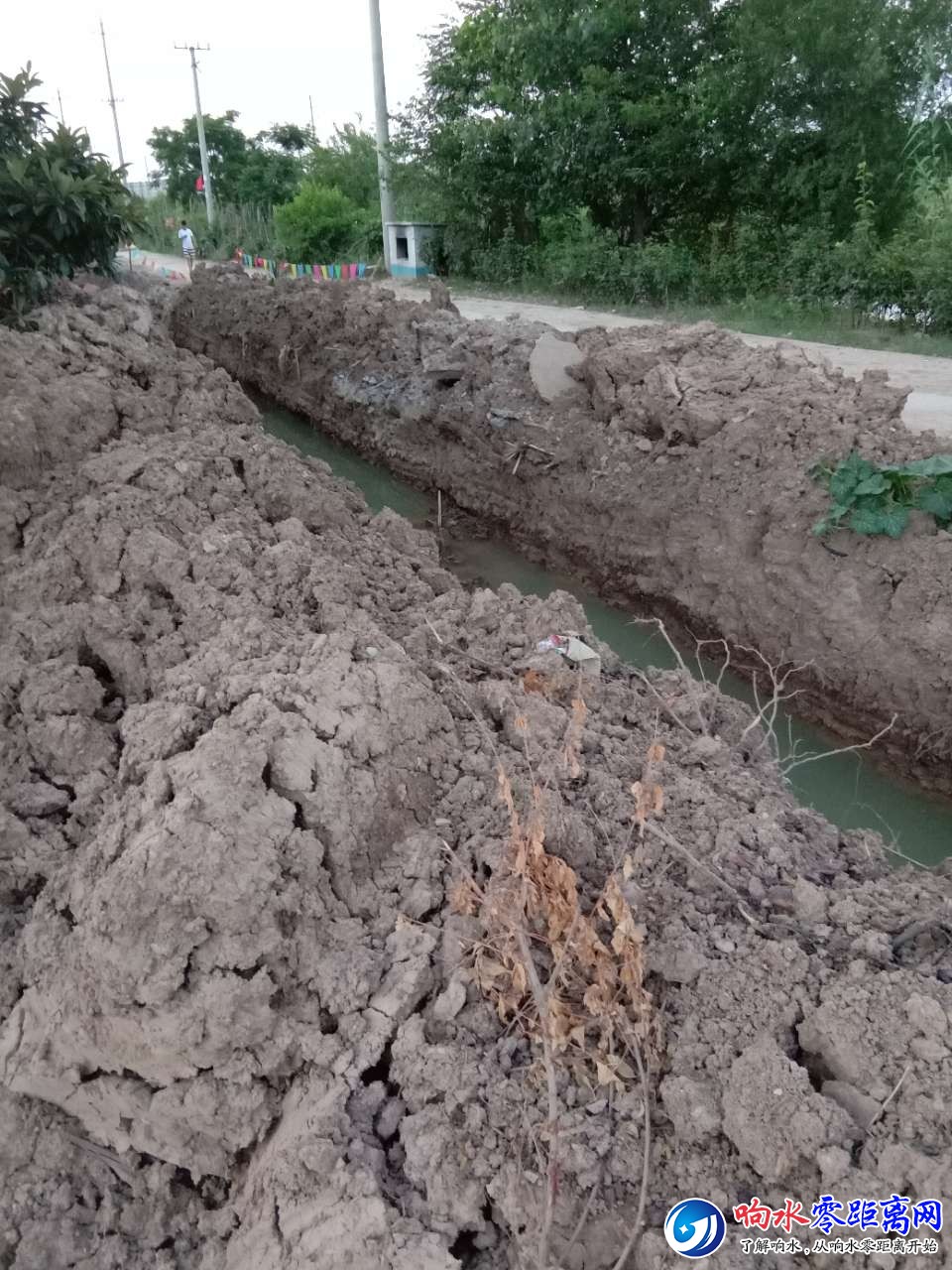 20180719_103011_1531981766482.jpg