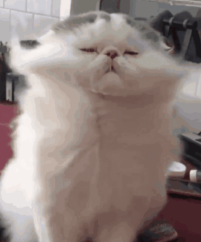 e636e71b7424306d27d0bf6eb429dbc7.gif