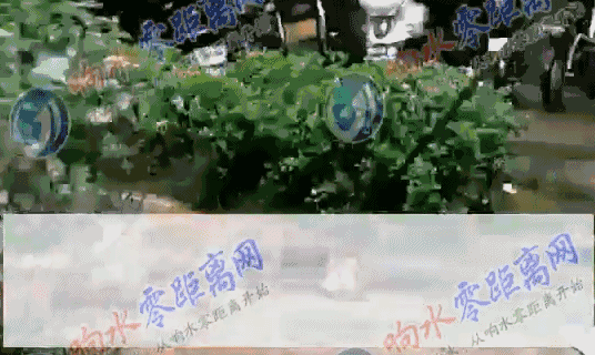3804a0179a341eb19f523db4f81c28d6.gif