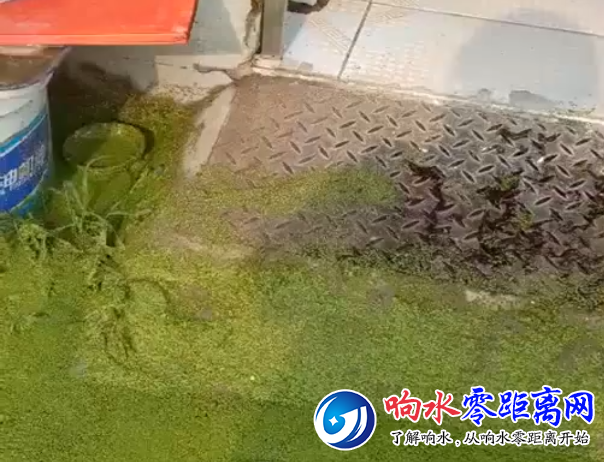 QQͼ20180725102830.png