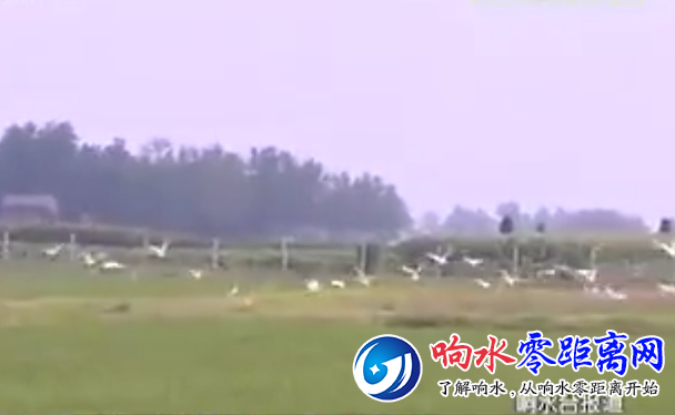 QQͼ20180806205800.png