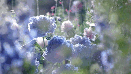 eda9057251b6ef413986fe445b888370.gif