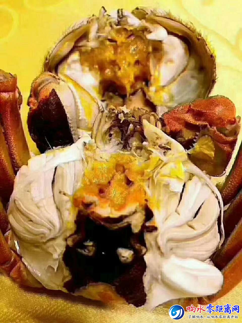 20180916_100033_1537098987026.jpg
