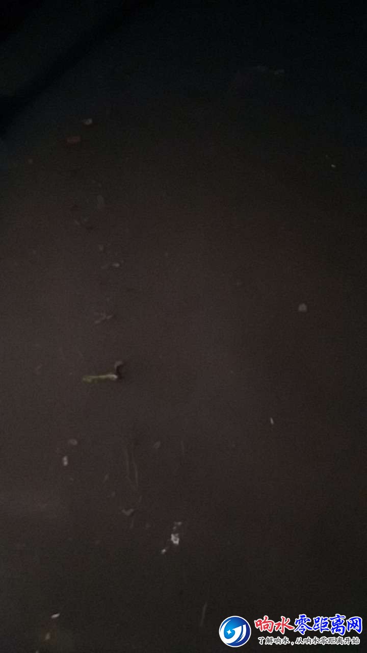 20180919_103817_1537311409125.jpg