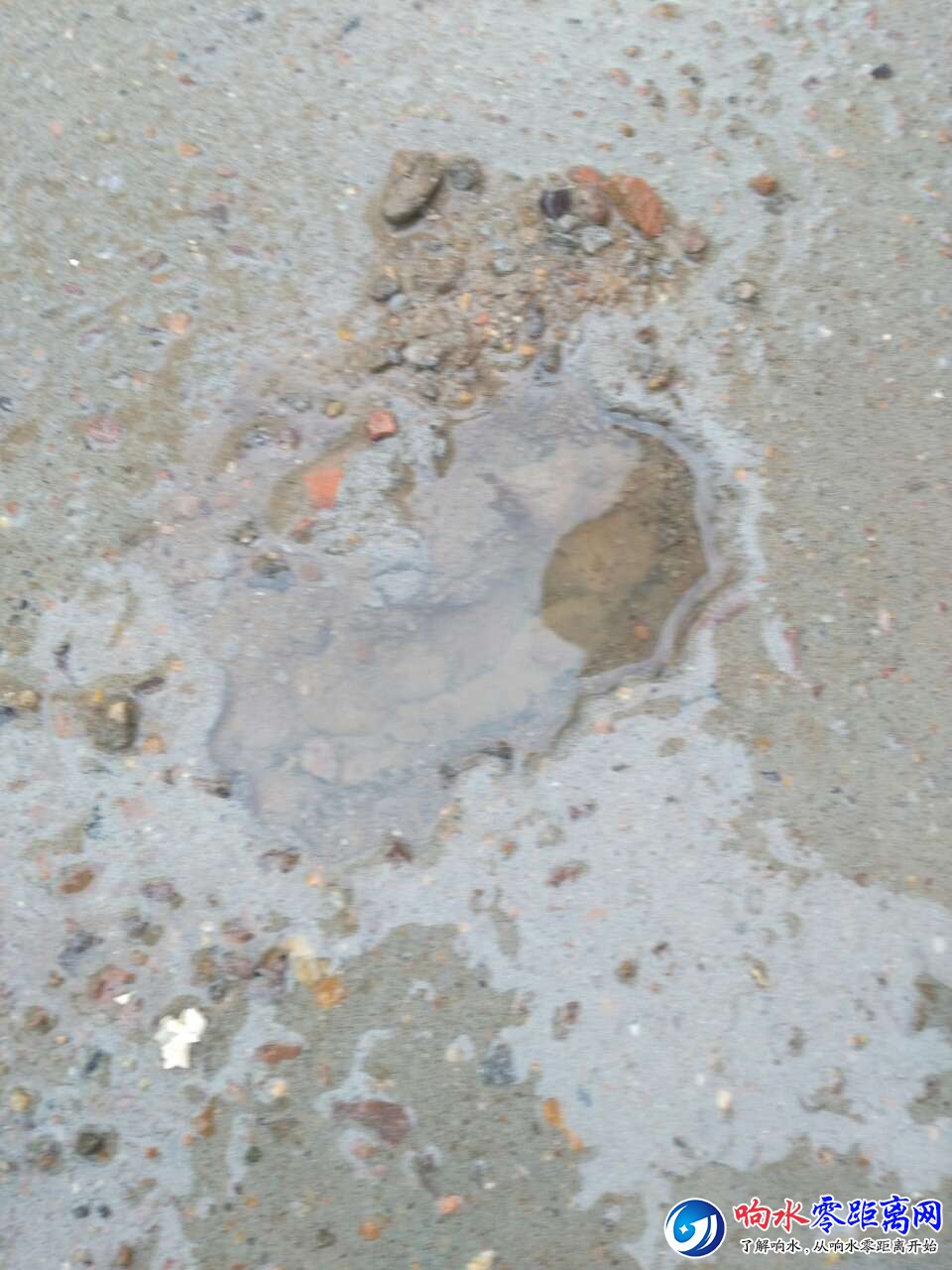 20180919_107115_1537335905090.jpg