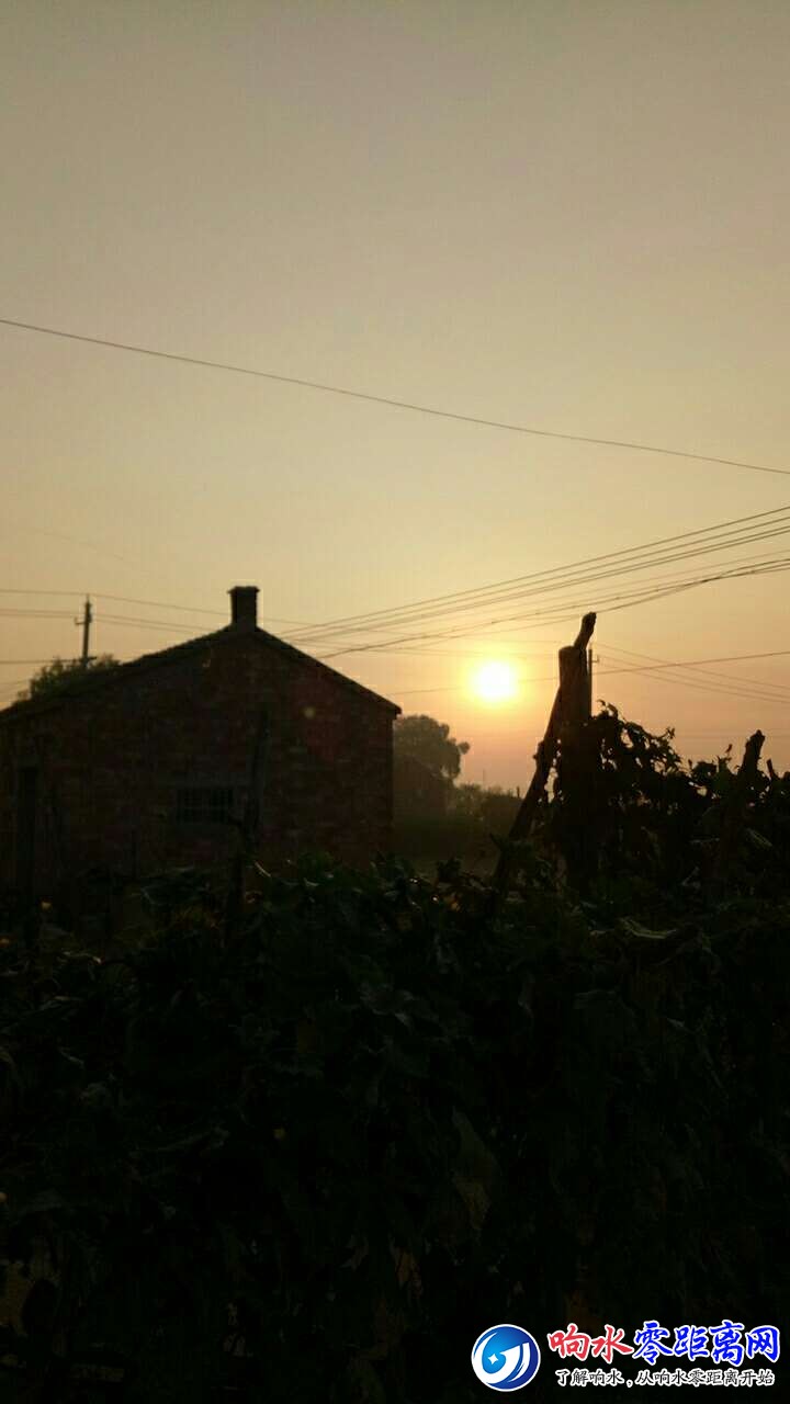 20181004_104999_1538605903705.jpg