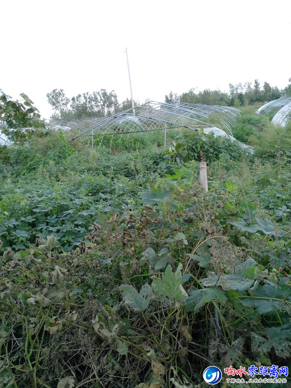 20181007_108450_1538870306549.jpg