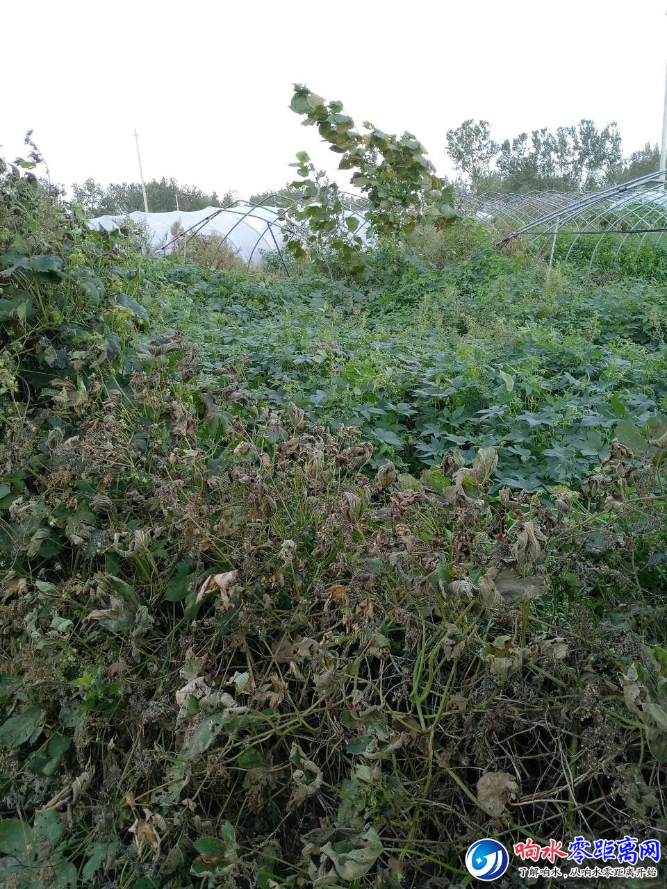 20181007_108450_1538870305444.jpg