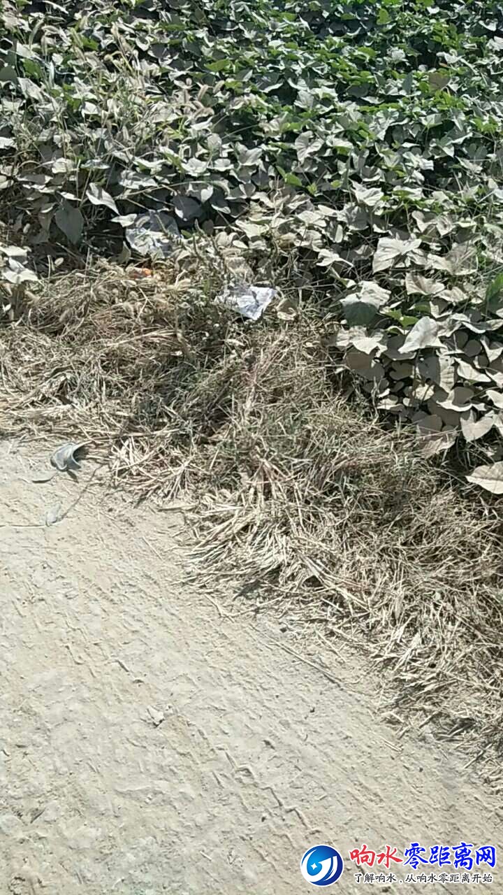 20181010_101203_1539133903125.jpg