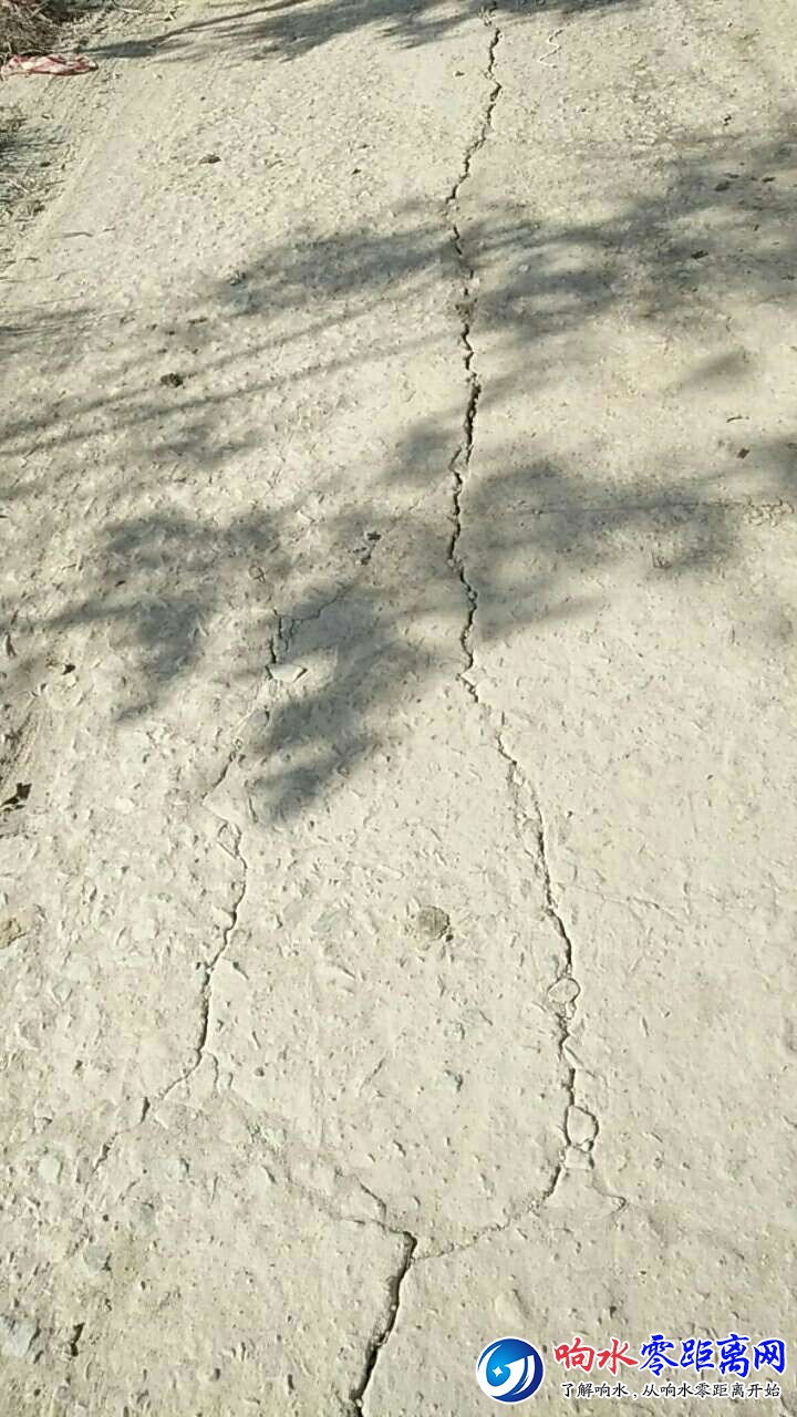 20181010_101203_1539133903041.jpg
