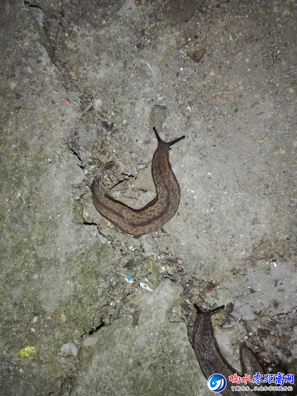 20181023_106838_1540252826823.jpg