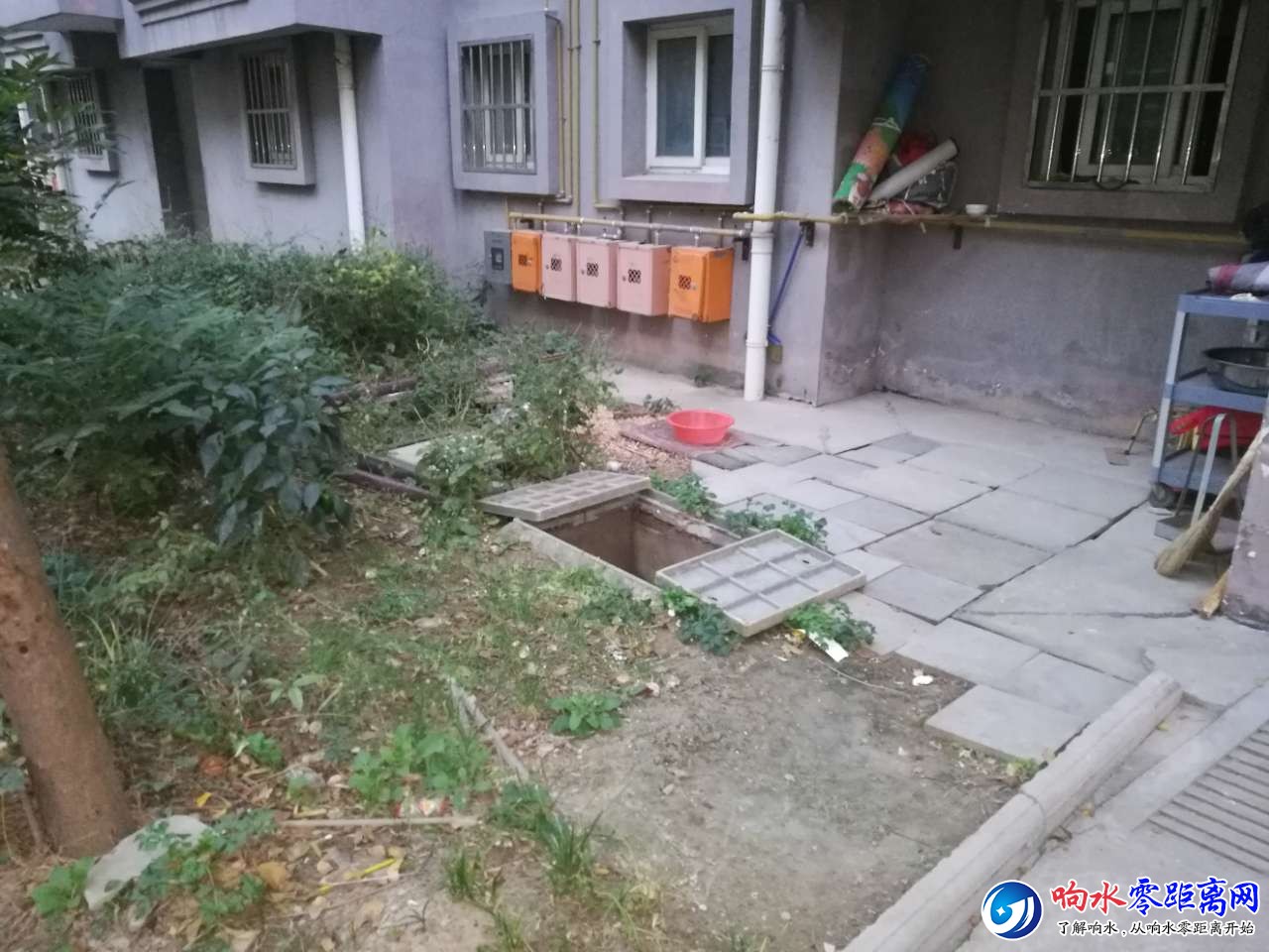 20181024_106838_1540394428466.jpg