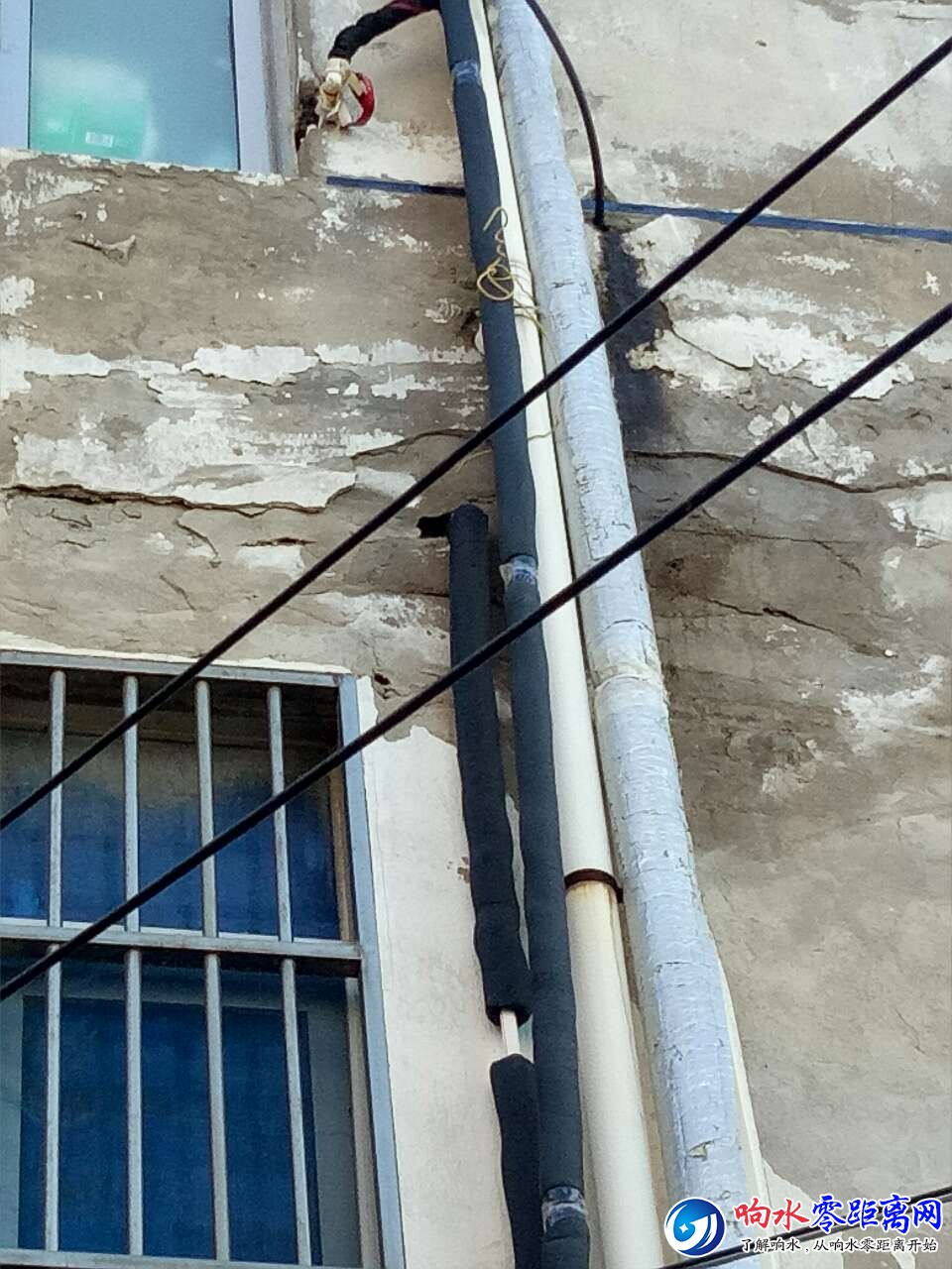 20181027_109166_1540615651072.jpg