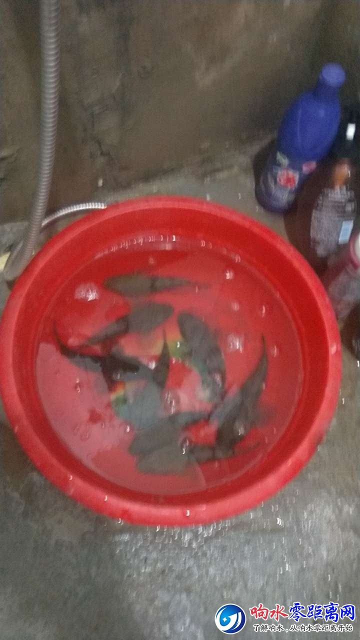 20181111_108295_1541928092125.jpg