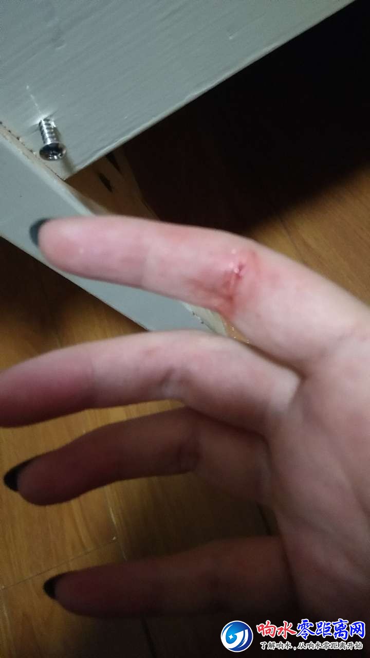 20181126_103275_1543225660190.jpg