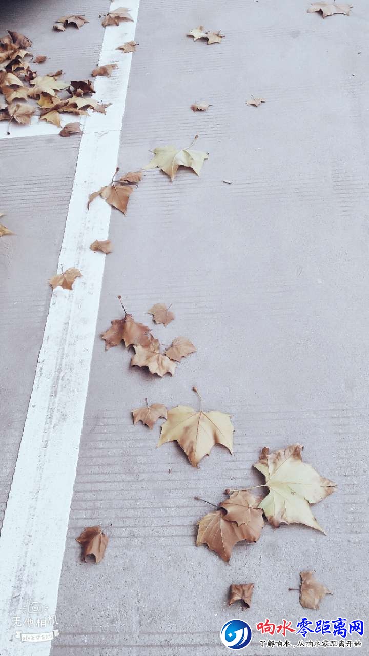 20181129_103275_1543482299758.jpg