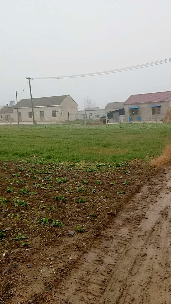 20190113_100495_1547342364296.jpg