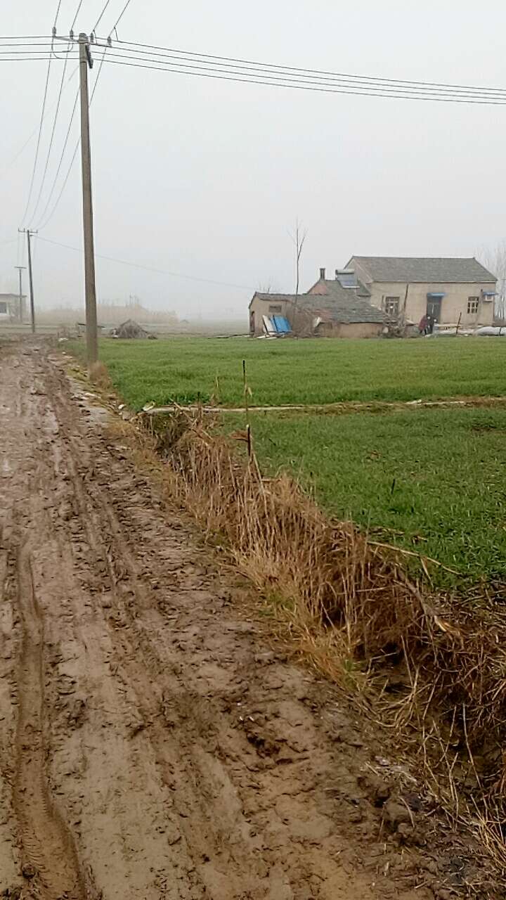 20190113_100495_1547342364426.jpg