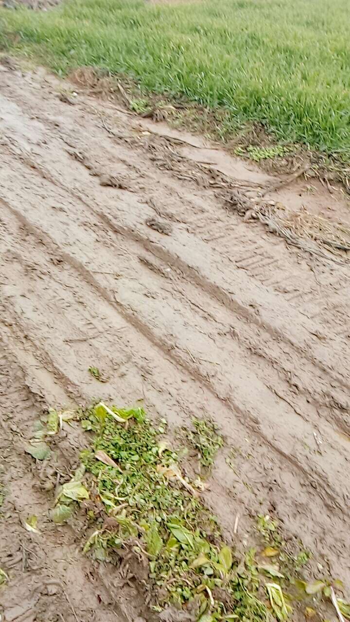 20190113_100495_1547342364556.jpg