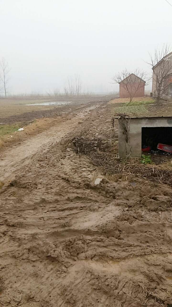 20190113_100495_1547342364708.jpg