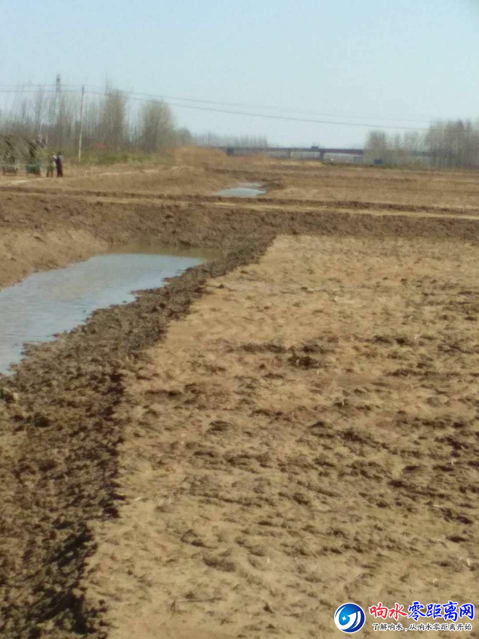20190402_119737_1554176511641.jpg