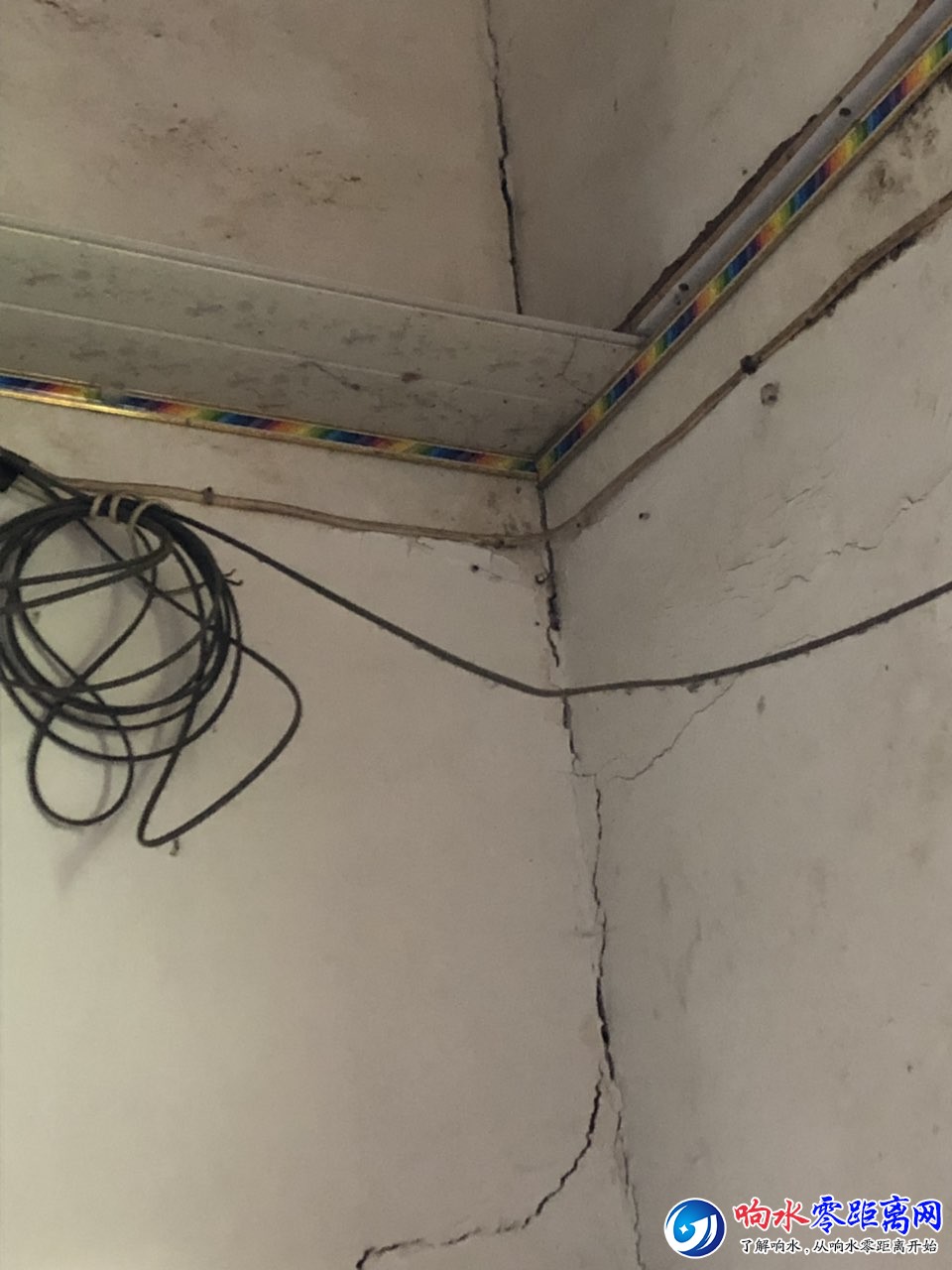 201904121071591555034628079949.jpg