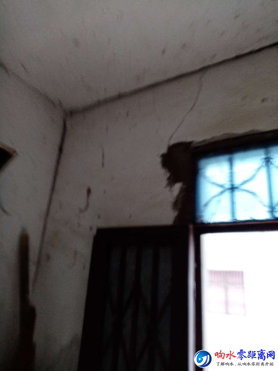 20190421_101870_1555781866515.jpg