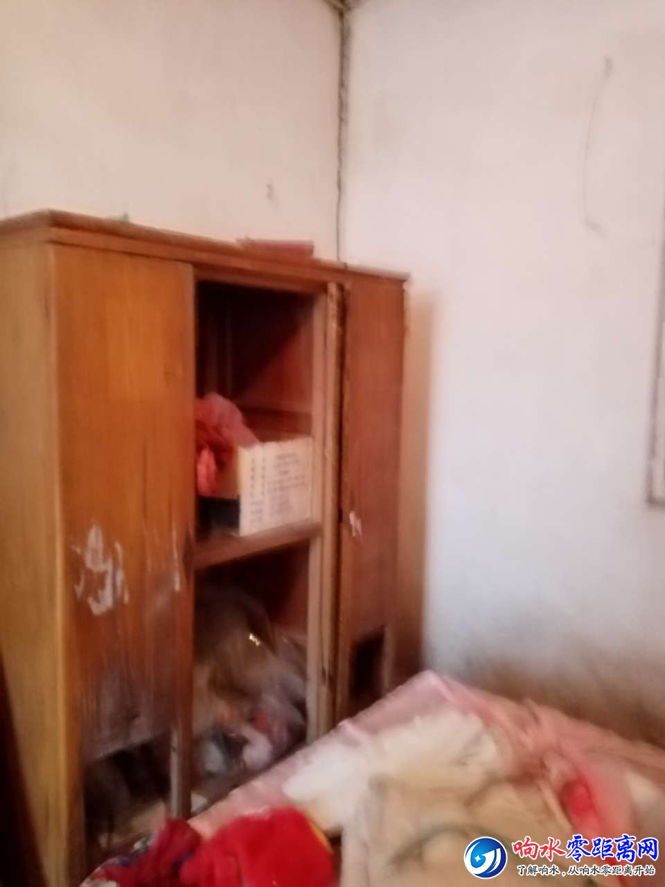 20190421_101870_1555781866181.jpg
