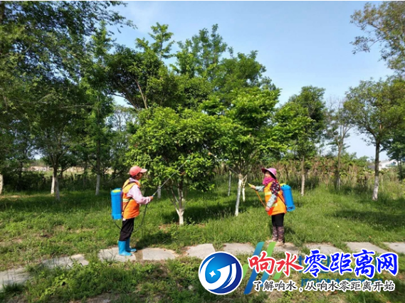 ΢Žͼ_20190424083139.png