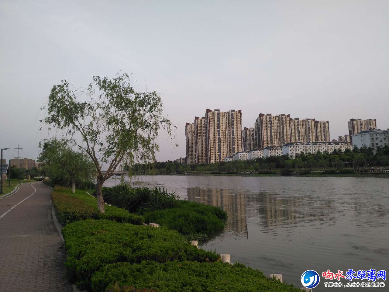 20190604_120774_1559647358653.jpg