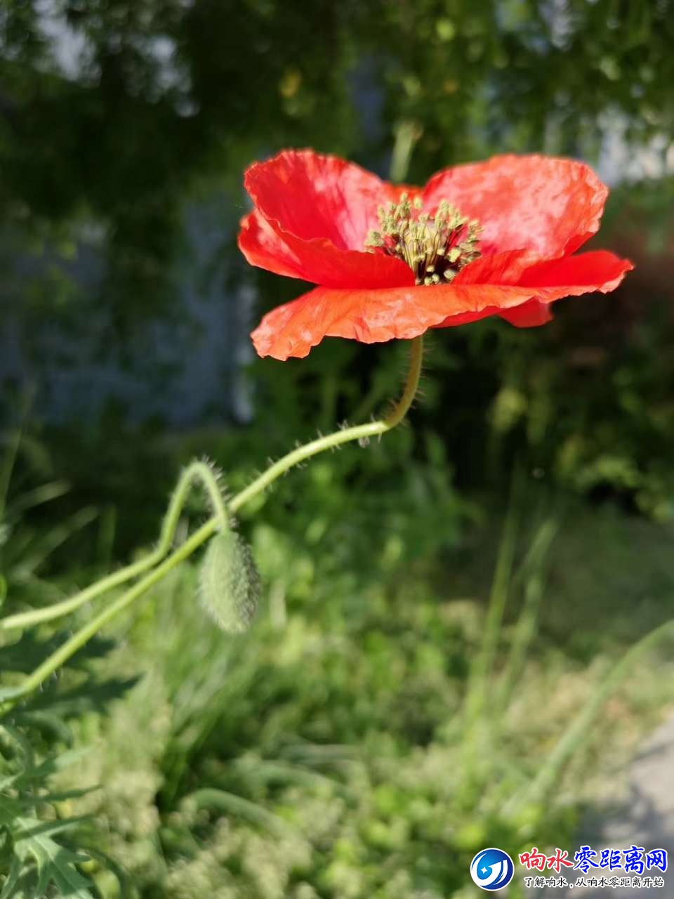 20190604_120774_1559647359185.jpg