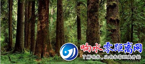 QQͼƬ20190612170027.jpg