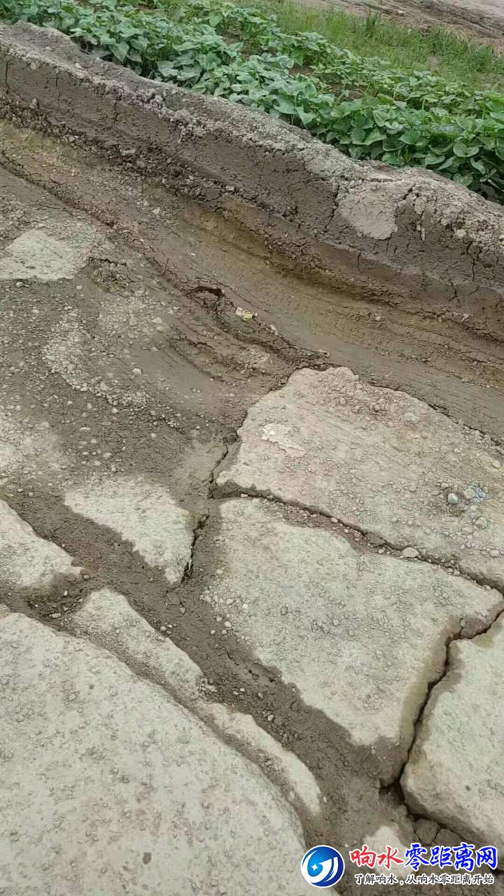 20190804_117292_1564908917133.jpg